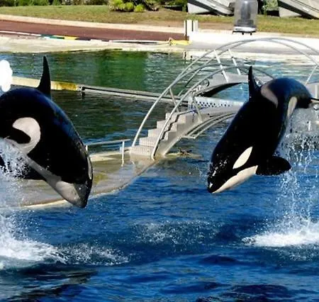 Lovely In Marina Baie Des Anges- Baronnet - Sew View, Free Parking Spaces On Site, Restaurants, Beach, Supermarket شقة فينوف لوبيه